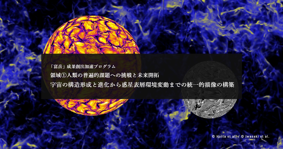 7.2KG 巨大 超希少 博物館級 宇宙パワー パラサイト隕石 幸運 大金運！！